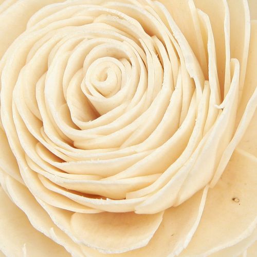 Prodotto Sola Flowers Wood Fiori in legno Decorazione Mix Crema 6-11 cm 12-15 pz