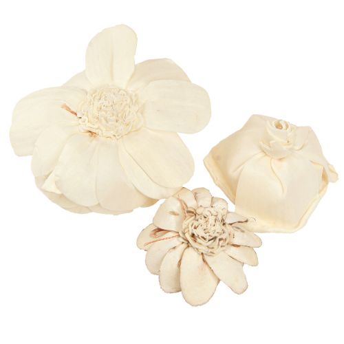 Prodotto Sola Flowers Wood Fiori in legno Decorazione Mix Crema 6-11 cm 12-15 pz