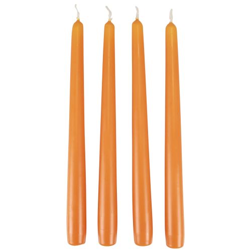 Floristik24 Candele coniche Candele Wenzel arancione 250/23mm 12 pezzi