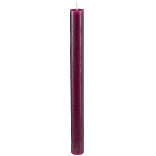 Floristik24 Candele coniche tinta unita bordeaux 21×240mm 12 pz