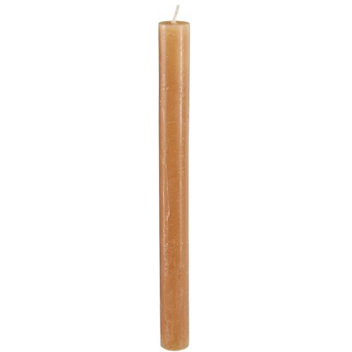 Floristik24 Candele stick, candele tinta unita, caramello, 21×240mm, 12 pezzi