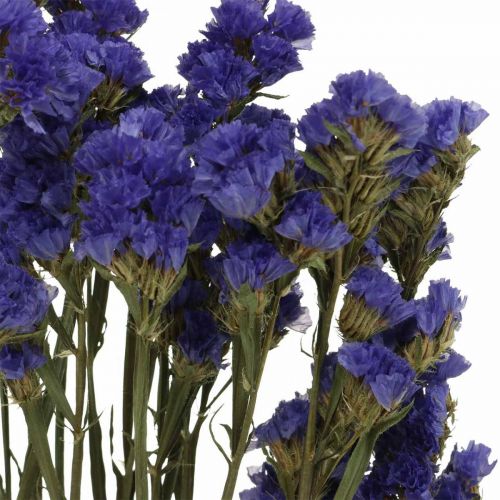 Prodotto Mazzo di lavanda marina, fiori secchi, lavanda marina, statice Tatarica blu L46–57cm 23g