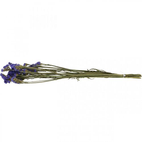 Prodotto Mazzo di lavanda marina, fiori secchi, lavanda marina, statice Tatarica blu L46–57cm 23g