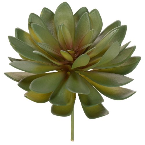 Prodotto Piante grasse artificiali decorative, verdi, 18 cm, 3 pezzi