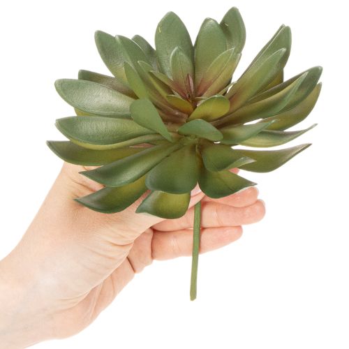 Prodotto Piante grasse artificiali decorative, verdi, 18 cm, 3 pezzi