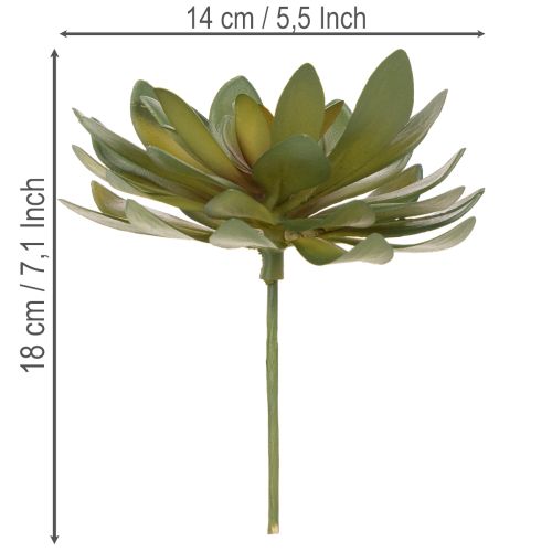Prodotto Piante grasse artificiali decorative, verdi, 18 cm, 3 pezzi