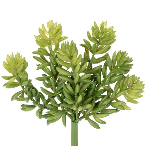 Prodotto Piante grasse artificiali Decorazione verde per spazi abitativi e uffici 15 cm, 6 pezzi