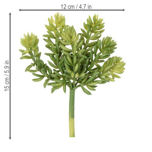 Prodotto Piante grasse artificiali Decorazione verde per spazi abitativi e uffici 15 cm, 6 pezzi