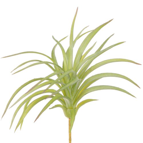 Piante artificiali Tillandsia verde con bastone Ø17cm 3pz