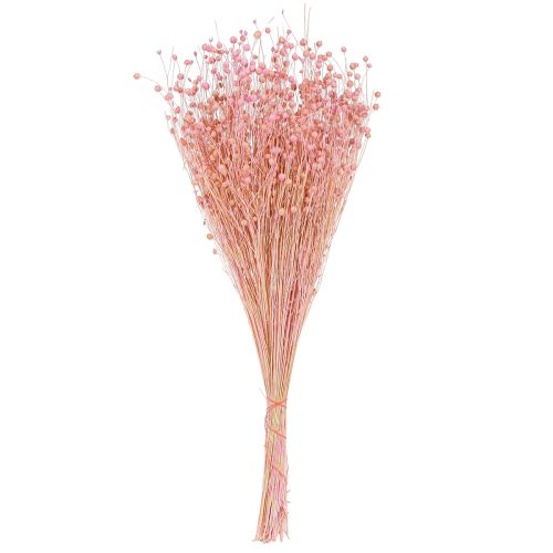 Prodotto Erba secca Lino essiccato Rosa chiaro H50–55 cm 80 g