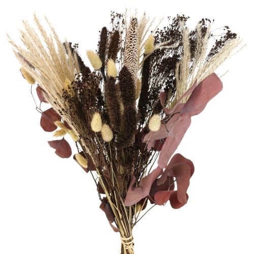 Bouquet secco bouquet di erba secca di eucalipto 60cm  120g-221840
