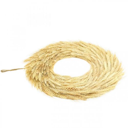 Floristik24 Corona naturale, corona di grano, corona di grano, corona di grano 37cm