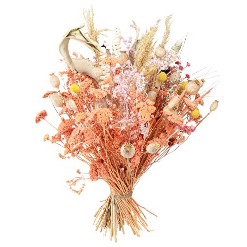 Prodotto Achillea achillea fiori di prato essiccati salmone 40-50 cm 80 g