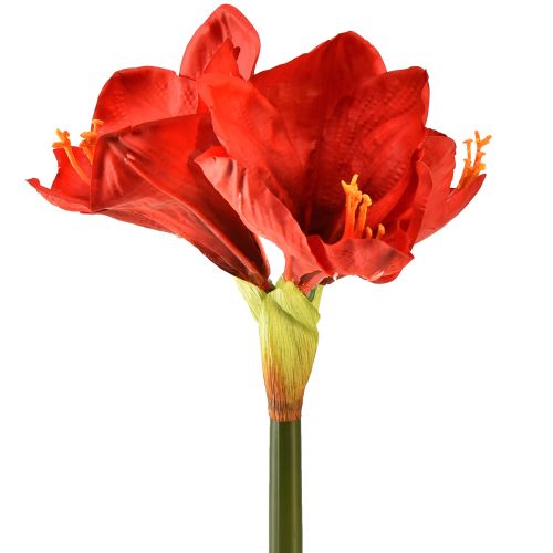 Amaryllis artificiale in rosso brillante - fiori eleganti per la lussuosa decorazione della stanza, 66 cm
