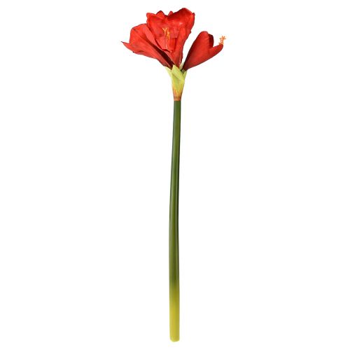 Prodotto Amaryllis artificiale in rosso brillante - fiori eleganti per la lussuosa decorazione della stanza, 66 cm