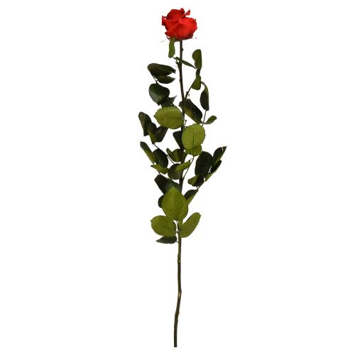 Amorosa Rosa infinita rossa con foglie stabilizzate L54 cm