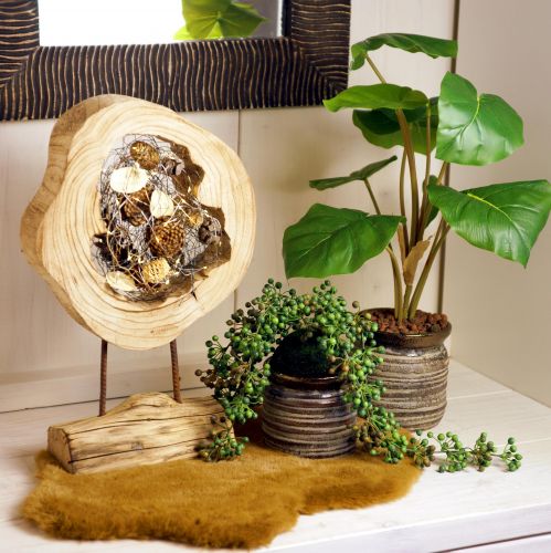 Floristik24 Anello rustico in legno su supporto - Venatura del legno naturale, 54 cm - Scultura unica per un ambiente di vita elegante