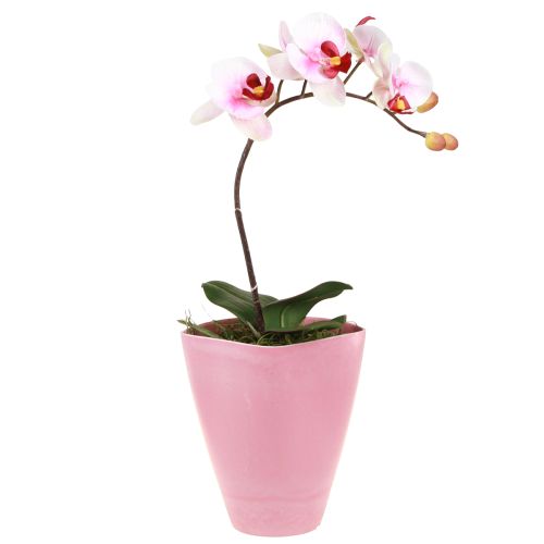 Vaso da fiori vaso in plastica vaso per orchidee rosa H16,5 cm 4 pezzi