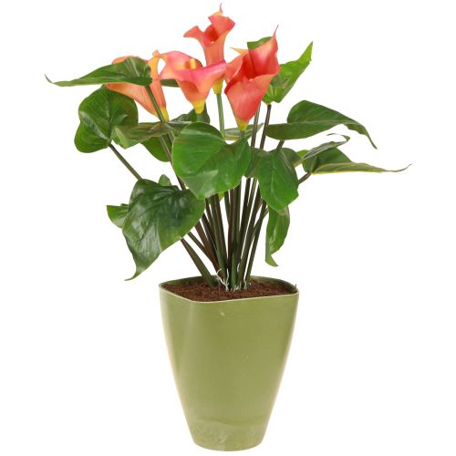 Prodotto Vaso per orchidee vaso da fiori vaso di plastica verde H16,5 cm 4 pezzi