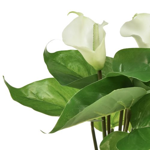 Prodotto Calla Lily Kalla Fiori artificiali Fiori esotici bianchi 34 cm