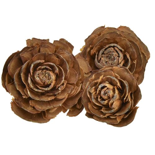 Coni di cedro tagliati come una rosa di cedro rosa 4-6 cm naturali 50 pezzi.