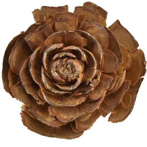 Prodotto Coni di cedro tagliati come una rosa di cedro rosa 4-6 cm naturali 50 pezzi.