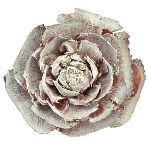 Prodotto Coni di cedro tagliati come rosa rosa di cedro 4-6 cm bianco/naturale 50pz