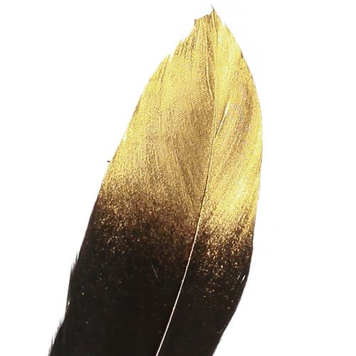 Prodotto Piume decorative oro nero vere piume d&#39;oca 15-20 cm 50 pezzi