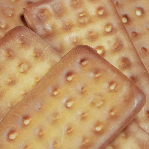 Prodotto Biscotti decorativi cibo artificiale 9×4 cm 24 pz
