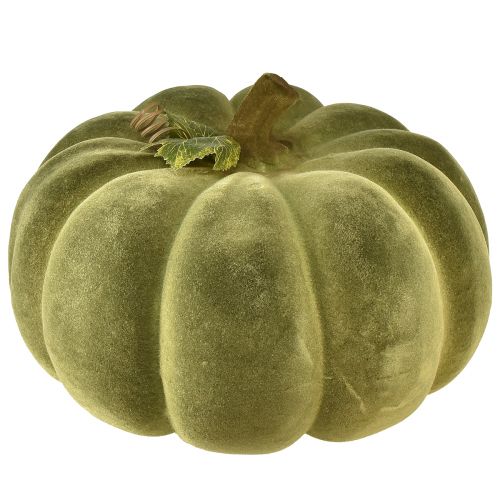 Floristik24 Zucca decorativa floccata verde – vellutata, bellissima decorazione autunnale 32 cm