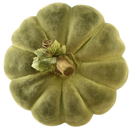 Prodotto Zucca decorativa floccata verde – vellutata, bellissima decorazione autunnale 32 cm