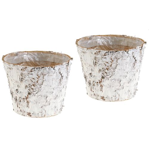 Prodotto Vaso decorativo vaso per piante in betulla sbiancata Ø18cm H15cm 2 pezzi