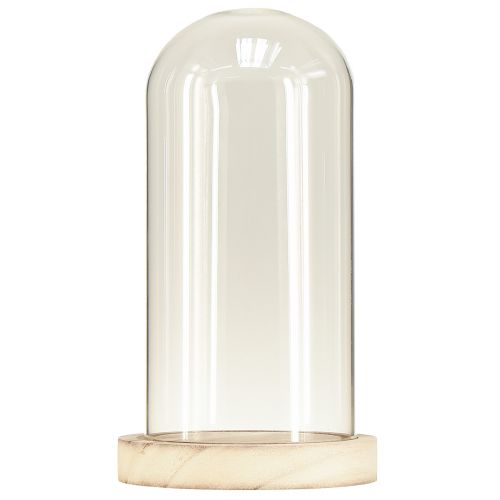 Prodotto Campana in vetro con base in legno naturale trasparente Ø12cm H21cm