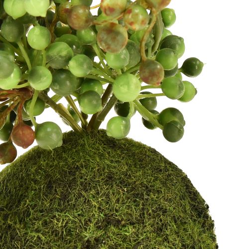 Prodotto Filo di perle artificiali di piante verdi in palline di muschio 38 cm