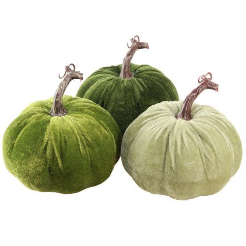 Decorazione autunnale zucca verde chiaro verde verde scuro Ø13 cm 3 pz