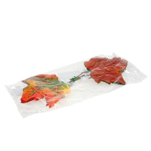 Floristik24 Decorazione foglia d'acero 36 cm 12 pezzi