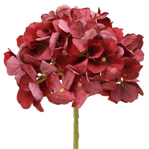 Ortensia artificiale Borgogna Fiore grande Ø15cm L58cm 2 pezzi