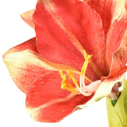 Prodotto Amaryllis artificiale rosa e crema – Fiore a stelo grande 76 cm