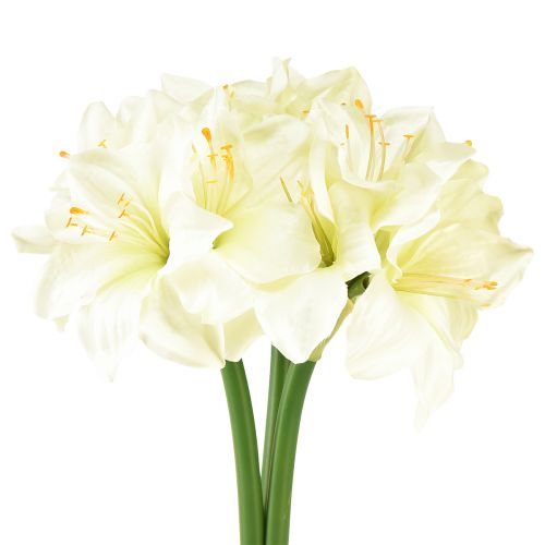 Floristik24 Stella cavaliere artificiale come veri fiori artificiali amaryllis bianchi 40 cm 3 pezzi