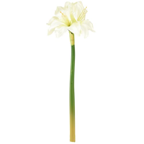 Prodotto Stella cavaliere artificiale come veri fiori artificiali amaryllis bianchi 40 cm 3 pezzi