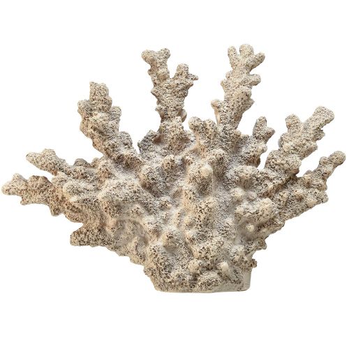 Decorazione corallina dettagliata in poliresina in grigio - 26 cm - eleganza marittima per la tua casa