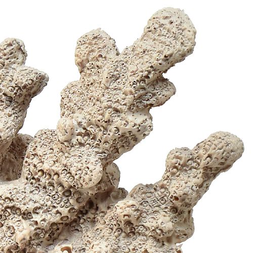 Prodotto Decorazione corallina dettagliata in poliresina in grigio - 26 cm - eleganza marittima per la tua casa