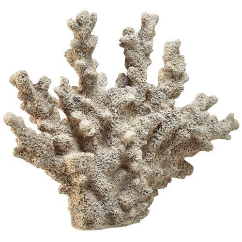 Prodotto Decorazione corallina dettagliata in poliresina in grigio - 26 cm - eleganza marittima per la tua casa