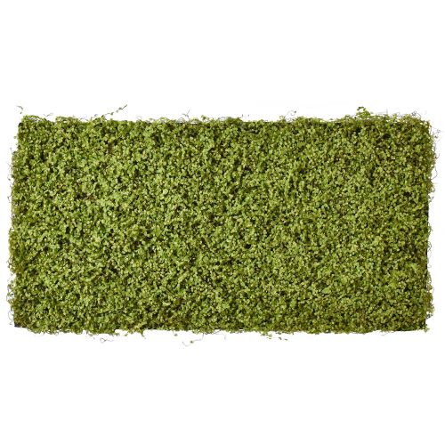 Tappetino di muschio muschio artificiale per quadro muschio verde 100×50 cm