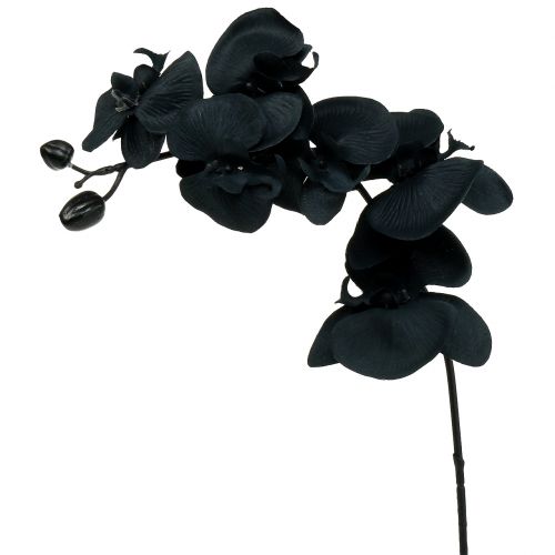 Orchidea da decorare Nera 54cm