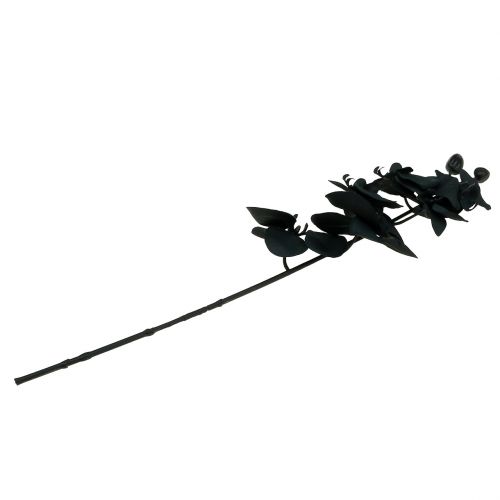 Prodotto Orchidea da decorare Nera 54cm