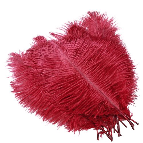 Prodotto Piume di struzzo vere piume decorazione rosso vino 20-25 cm 12 pz