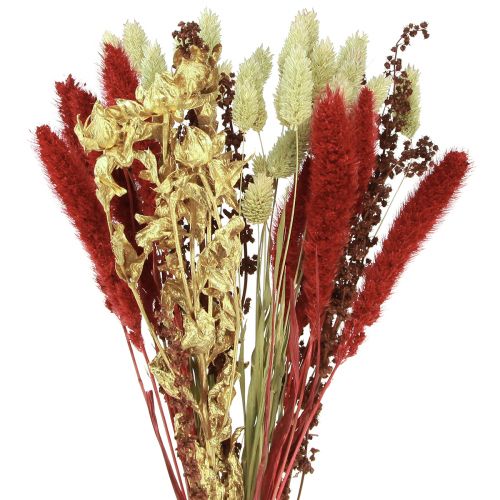 Bouquet di fiori secchi bouquet di grani secchi rosso oro 50 cm