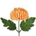 Floristik24 Crisantemo arancione Ø7cm L18cm 1pz