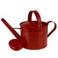 Floristik24 Annaffiatoio decorativo brocca in metallo rosso per piantare H26cm 5L